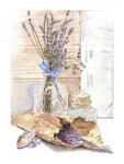 Lavendel, 50 x 60 cm incl. passe-partout €  100,--